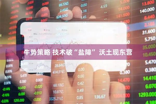 牛势策略 技术破“盐障” 沃土现东营