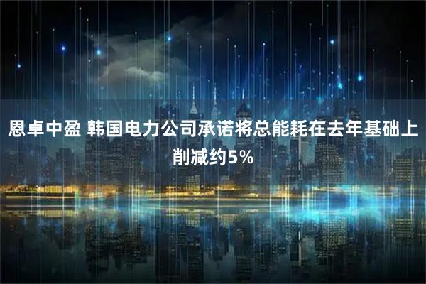 恩卓中盈 韩国电力公司承诺将总能耗在去年基础上削减约5%