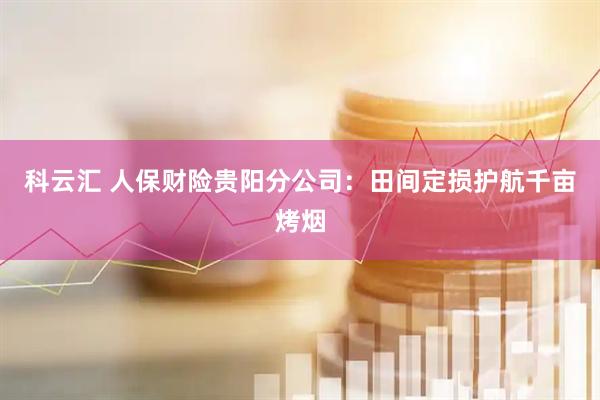 科云汇 人保财险贵阳分公司：田间定损护航千亩烤烟